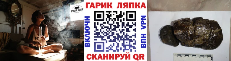 ГАШ VHQ Светлогорск