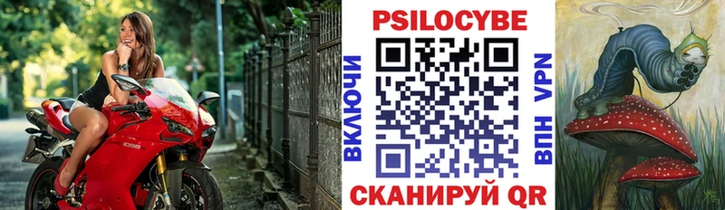 Псилоцибиновые грибы Magic Shrooms  Купить  Светлогорск 